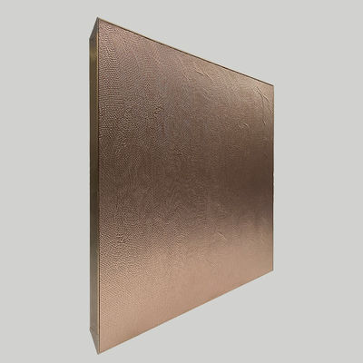 10 * 8 geanodiseerd aluminium modulair keukenkasten metalen deur ODM