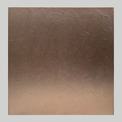 Goudkleur lak aluminium modulair kast metaal afwerking deur